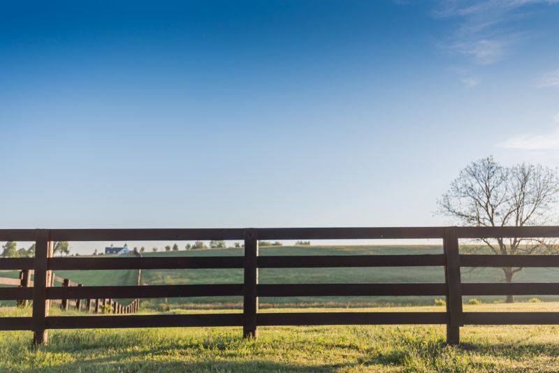 Paddock Fence Installation in Pearland, TX